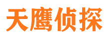 桑日市私家侦探